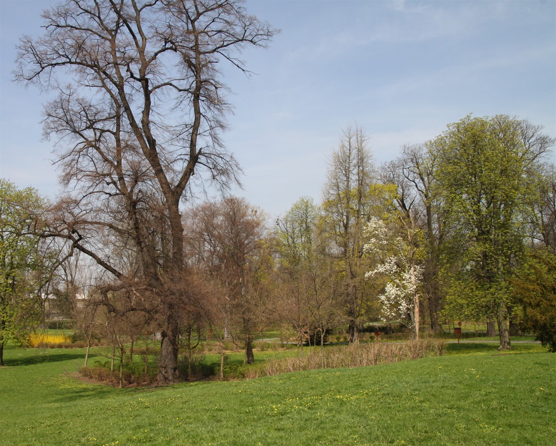 park park
