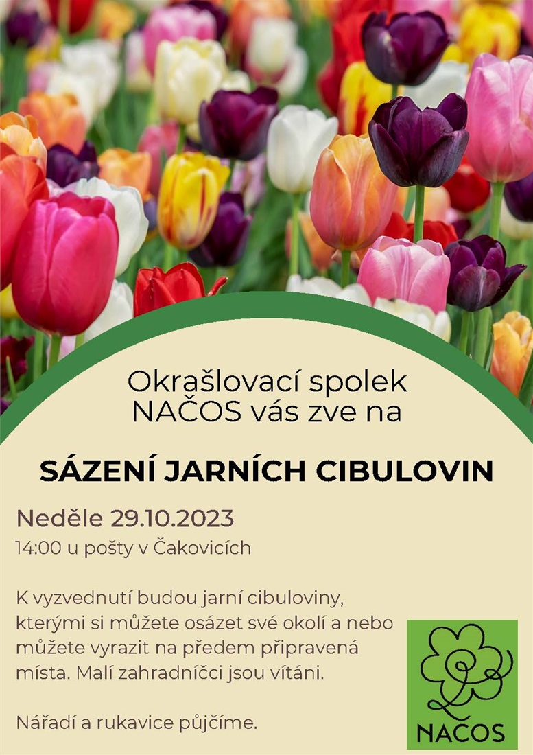 sázení