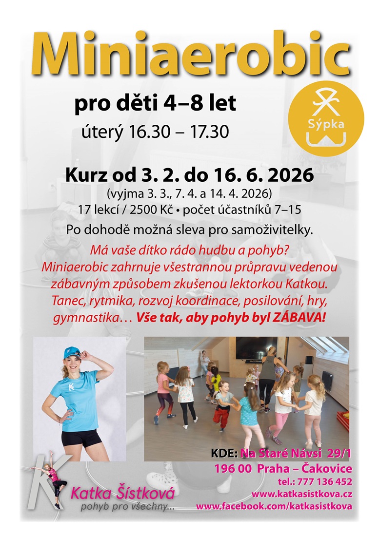 mini aerobic