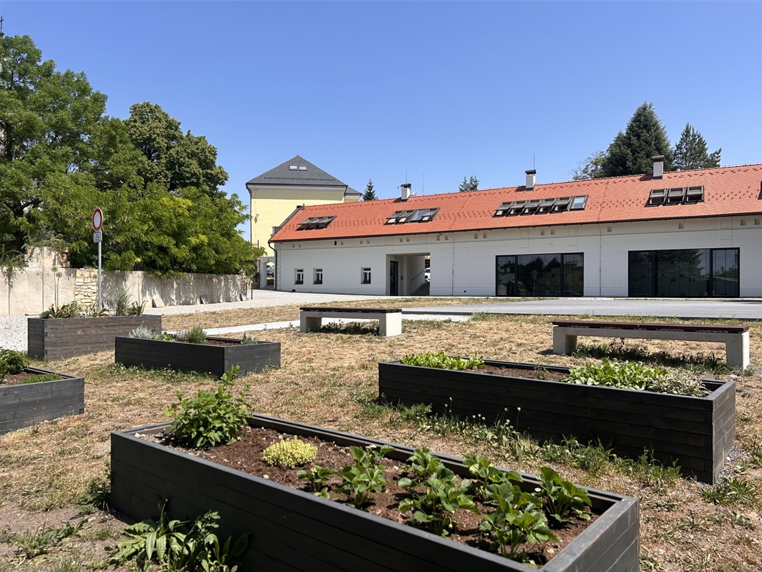 záhony