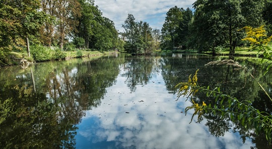 Čakovický zámecký park Čakovický zámecký park