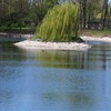 park