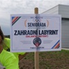Senioráda