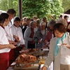 čakovické slavnosti 2009 042.jpg