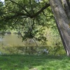 telč