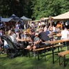 zámek fest