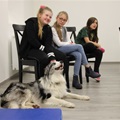 Blíže nespecifikovaný obrázek