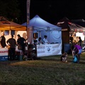 zámek fest