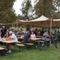 zámek fest