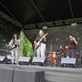 zámek fest